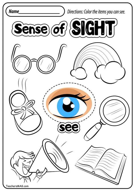 Free Five Senses Worksheets | Five senses worksheet, Five senses kindergarten, Five senses preschool