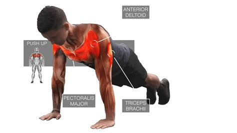 Push-Ups: How To Use Them To Build Muscle (4 Science-Based Tips)