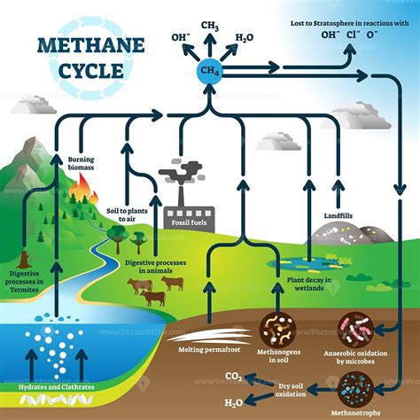 Methane cycle diagram, global pollution process vector illustration ...