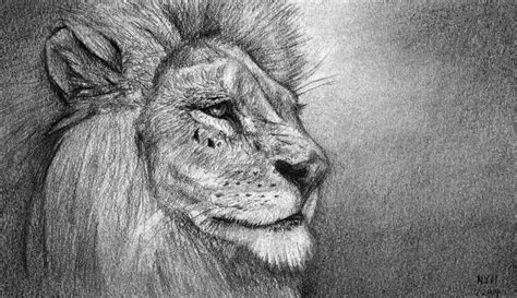 How to Draw a Lion Portrait | Drawings, Animal drawings, Portrait drawing