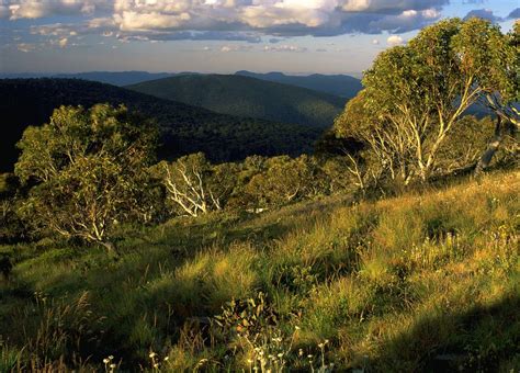 Namadgi National Park and Visitors Centre - Your Abode