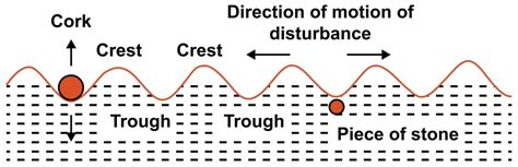 Explain the terms crest and trough in relation to a | KnowledgeBoat