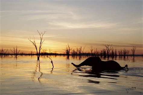 Lake Kariba, Zimbabwe: The Complete Guide