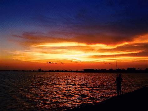 Night Fishing Photograph by Robert Brown - Fine Art America