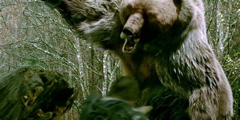 Into the Grizzly Maze (2014) - Whats After The Credits? | The Definitive After Credits Film ...