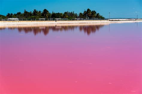 Las Coloradas, the pink beach of Yucatan | Catalonia Hotels & Resorts Blog