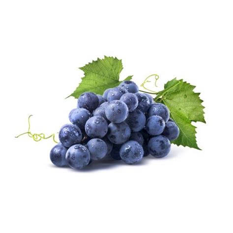 Black Seeded Grapes – Dandrea