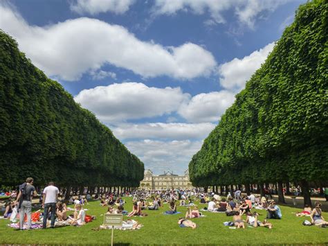 Jardin du Luxembourg in Paris. The central park of paris. | Ecu, Park ...