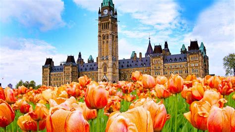 Ottawa: Canada: Tulip Festival : Daily Escape : Travel Channel | Tulip festival, Ottawa tulip ...