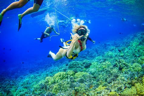 Snuba Diving in Maui - Where snorkeling and scuba diving meet!