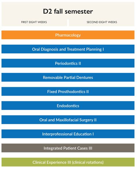 Curriculum | College of Dentistry | NEOMED