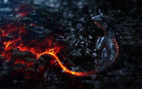 Gray lava dragon digital wallpaper, dragon, colorful, render, fire HD ...