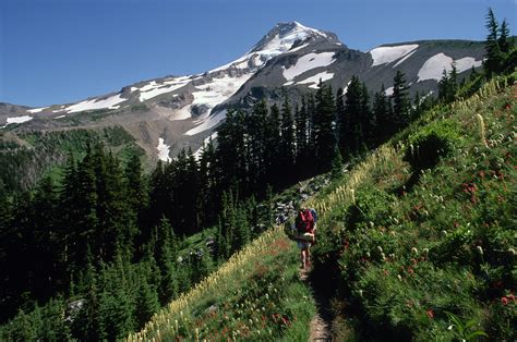 Explore 7 of the Best Hikes Near Portland | GearJunkie