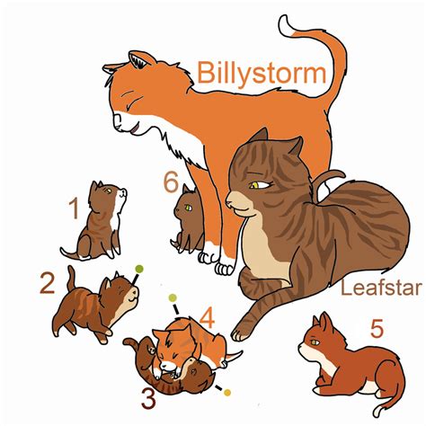 Leafstar x Billystorm kit adopts by Lunasoar on DeviantArt