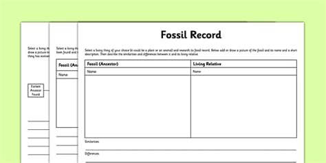 Differentiated Fossil Record Worksheet / Worksheet - Twinkl