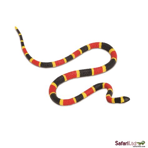 Cartoon snakes clip art page 2 snake images clipart free 3 - WikiClipArt