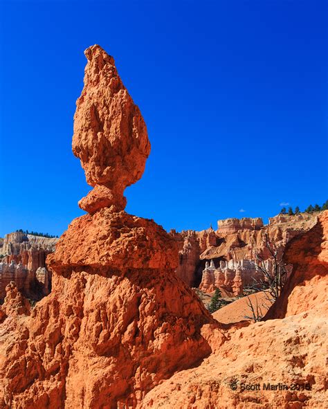 Bryce Canyon National Park | Scott Martin Photography