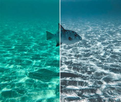 20 Underwater Lightroom Presets - ActionReviews