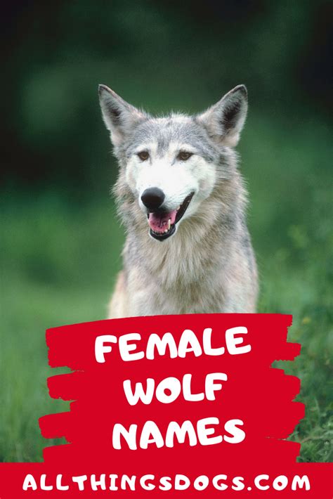 Good Female Wolf Names - Iurd Gifs