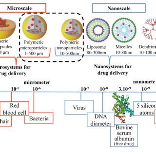 Schematic representation of the PLGA nanoparticle design approach ...