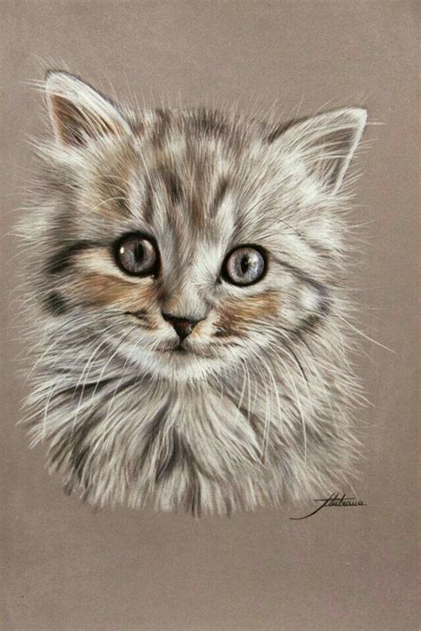 Pin by Maria Garcia on gatos | Realistic drawings, Pencil portrait, Portrait drawing