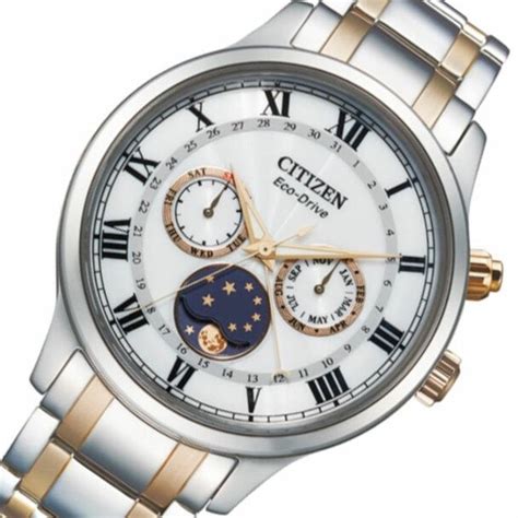 citizen moon phase men's watch - Robbyn Roney