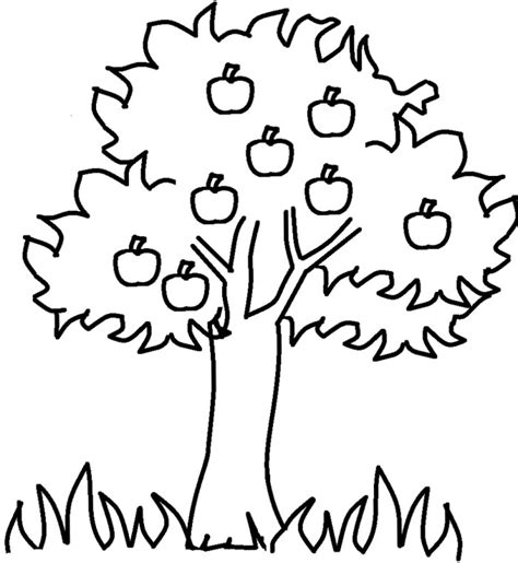 Free Apple Tree Images, Download Free Apple Tree Images png images ...