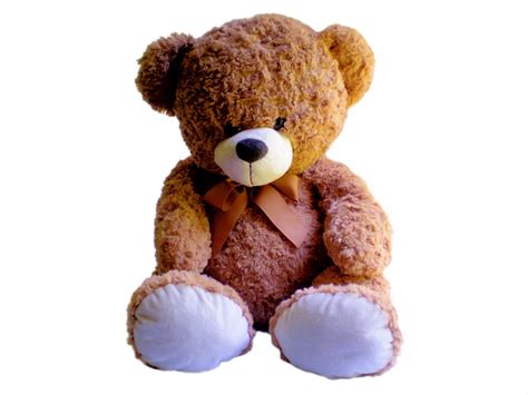 Teddy Bear Free Stock Photo - Public Domain Pictures