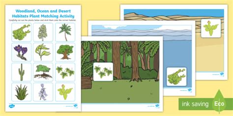 Different Habitats Plants Sorting Worksheet - KS1