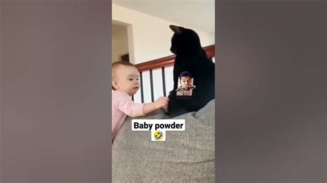 baby with cat 👶,😹 #meme - YouTube