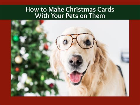 How to Make Christmas Cards With Your Pets on Them - The Pet Blog Lady ...