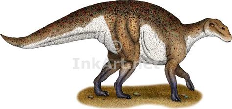 Hadrosaurus Pictures & Facts - The Dinosaur Database