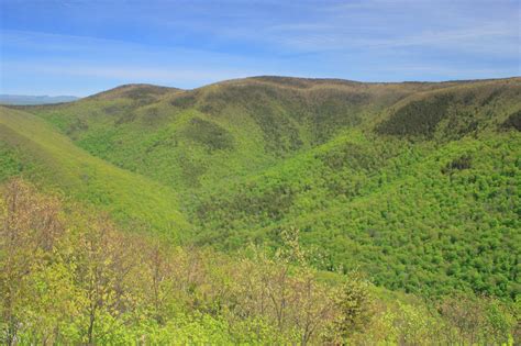 Mount Greylock State Reservation: Massachusetts - Wildlands & Woodlands