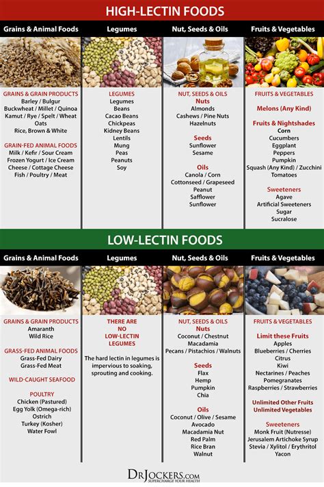 Why You Should Avoid Lectins in Your Diet! | Plant paradox diet, Lectin free foods, Diet and ...