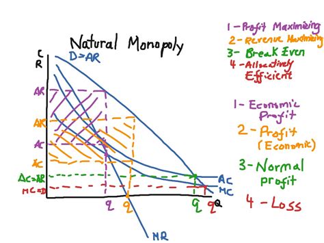 Natural Monopoly | Economics | ShowMe