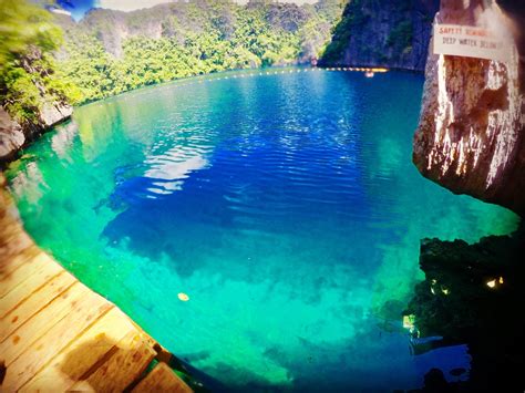 Barracuda Lake in Coron Palawan. No barracudas here unfortunately in this freshwater lake and ...