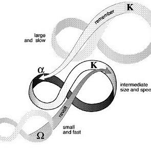 A panarchy. Three selected levels of a panarchy are illustrated, to... | Download Scientific Diagram