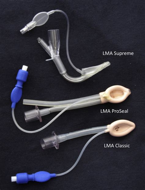 Figure 1 from The Supreme Laryngeal Mask Airway™ (LMA): a new neonatal supraglottic device ...