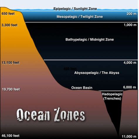 33 Best Oceanography Sciences images in 2020 | Ocean, Ocean current, Ocean currents map