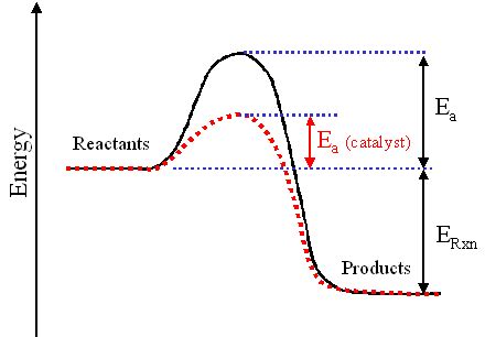 Decomposition of Hydrogen Peroxide Experiment