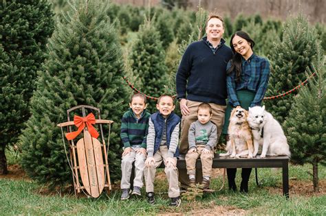 Snickers Gap Christmas Tree Farm Family Mini Sessions | Round Hill, VA ...