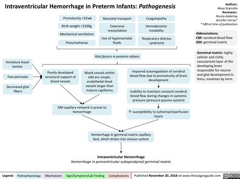 Intraventricular Hemorrhage in Preterm Infants: Pathogenesis | Calgary Guide