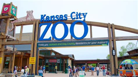 Kansas City Zoo Pictures: View Photos & Images of Kansas City Zoo