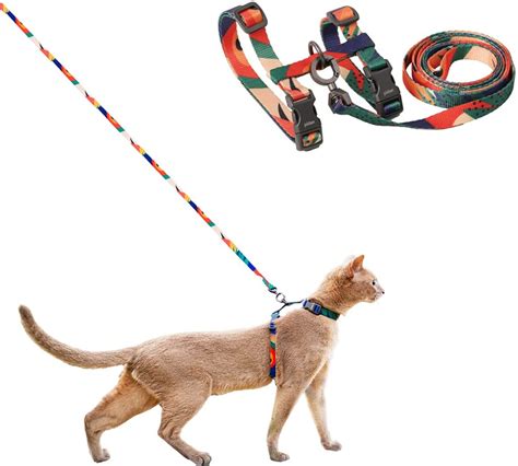 The Best Bengal Cat Harness [2022] - That Bengal Cat