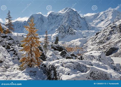 Altai mountains stock image. Image of forest, glaciers - 136605115