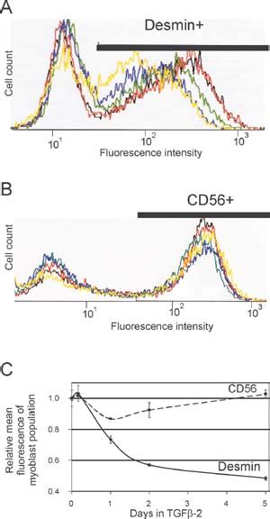 Effect of TGF-β2 on myoblast markers as a function of time in TGF-β2.... | Download Scientific ...