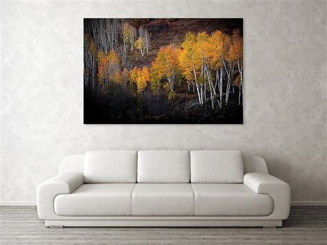 Fall Aspen Photo Aspen Trees Fall Colorado Art Fall Meadow - Etsy