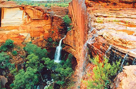 Full day Kings Canyon tour. From $219.00 per person