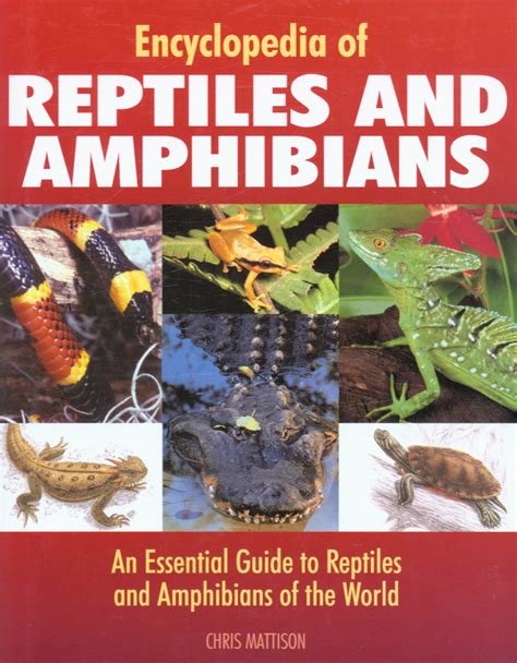 Encyclopedia of reptiles and amphibians by HALL, DEREK (9781840137941) | BrownsBfS