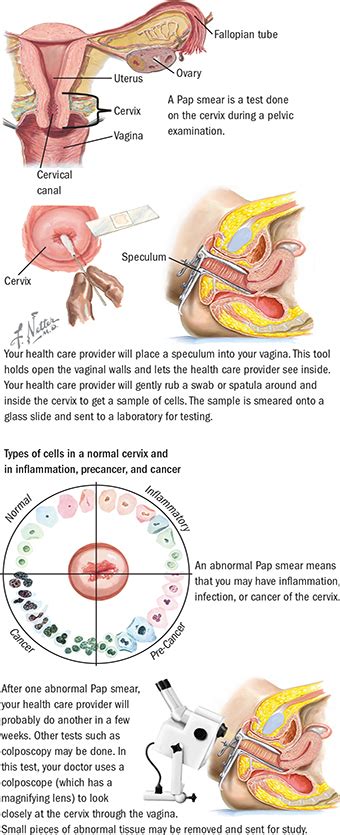 Pap Test